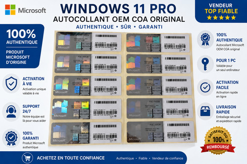 Licence windows pro oem - windows, 11