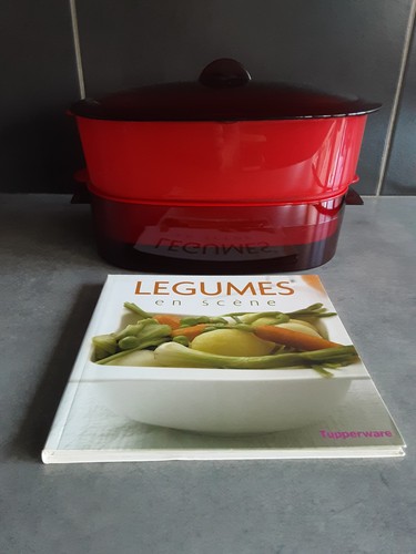 Cocotte ovale cuit vapeur - cuit,