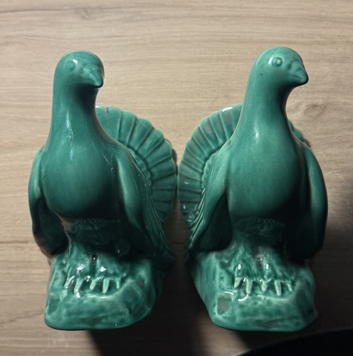 Serre livres pigeons art - serre,