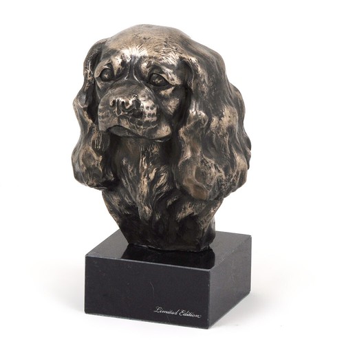 Cavalier king charles spaniel - king,