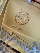1988 Yamaha C7 Grand Piano Serial Number F4639875 Conservatory Piano With  Dolly