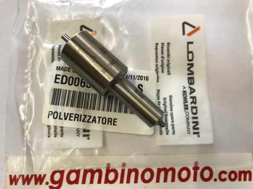 Injecteur moteur lombardini - injecteur,