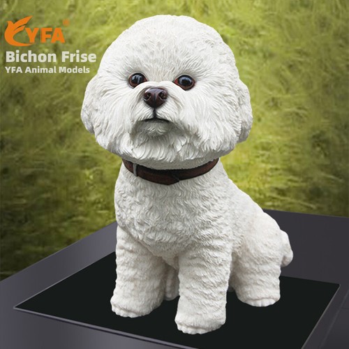 Jjm large bichon frise dog - jjm,