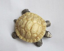 Ancienne Tortue coquille en