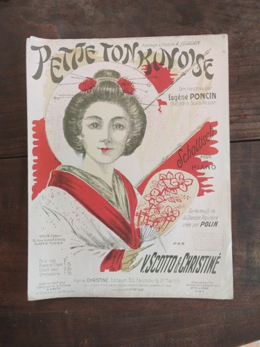 Petite tonkinoise schottisch - petite,