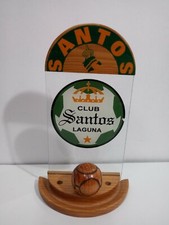 Club santos Laguna soccer