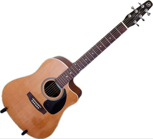 Guitare électrique acoustique