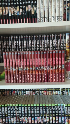 Pika édition fairy tail tomes - Édition,