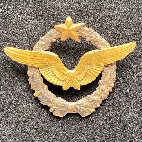 Insigne brevet pilote - brevet,