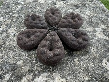 15x  Plombs Carpe gripp 255 g