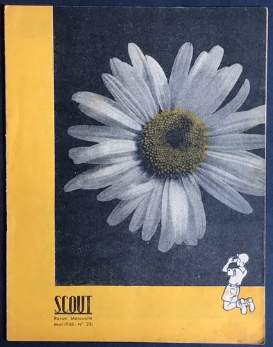 Scout mensuel 231 mai - scout,