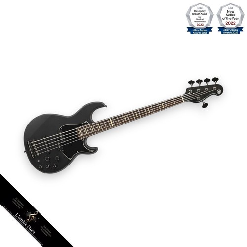 Guitare basse électrique - , 5