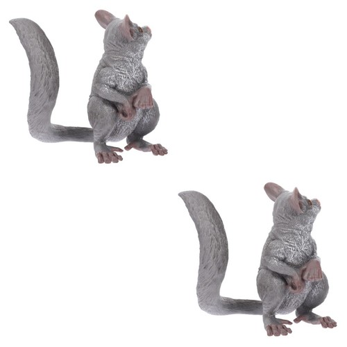Realistic sugar glider animal - realistic,