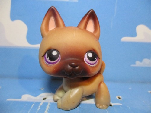 Petshop german shepherd - petshop,