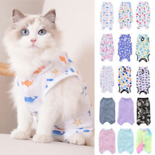 Vêtements De Chien Après La