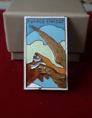 Insigne militaire émaillé - militaire,