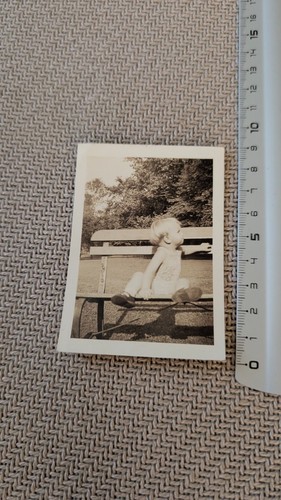 Photo ancienne noir - , blanc