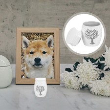  Urnes Funéraires Pour