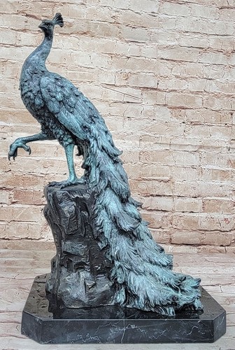 Mâle paon oiseau - mâle,