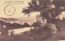 Picturesque Morocco Fez Through Olive Trees 77090 