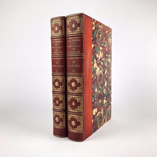 Brehm les insectes tomes - tomes, 1