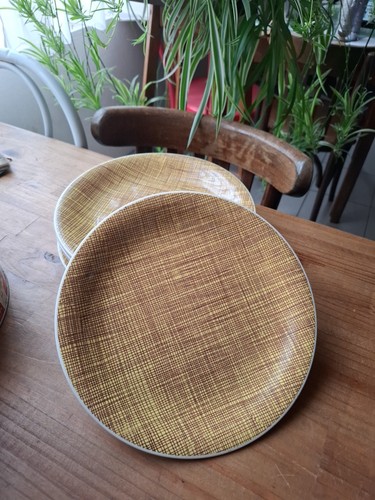 Assiettes plates faience - 6,