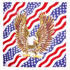 BANDANAS BIKER AIGLE USA