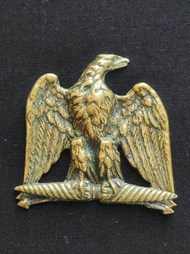 Superbe aigle impériale - superbe,
