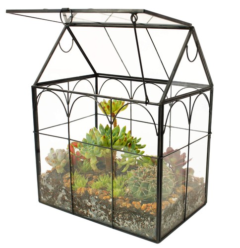 Geometric glass plant - geometric,