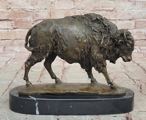 Américain buffalo bison - américain,