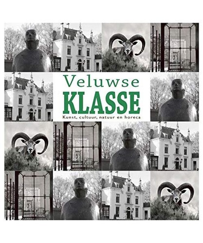 Veluwse klasse kunst - klasse:,