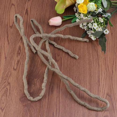 Accessoires terrarium serpent - accessoires,