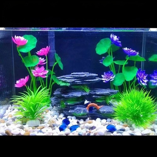 Fleur lotus aquarium plante - aquarium,