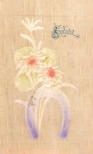 Illustree gaufree souvenir - cp,