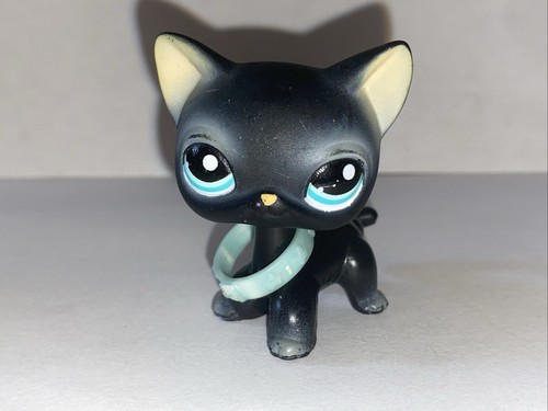 Petshop european cat 994 - cat, #994