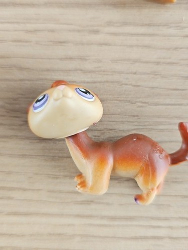 Littlest petshop ancien - my,