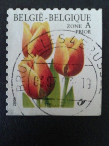 Timbre belgique fleur - belgique, 1999