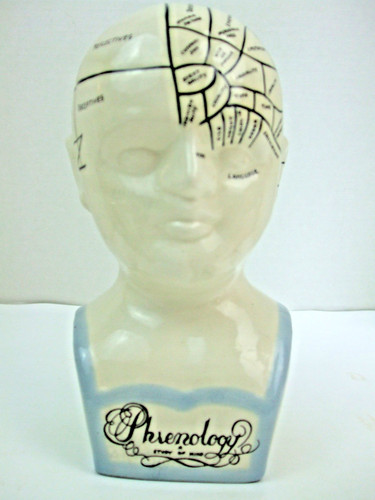 Phrenology study mind head - of,