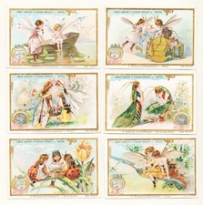 Liebig Images Collectionnées