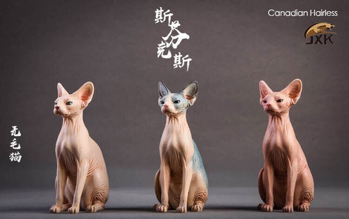 Jxk canadian hairless cat pet - canadian,