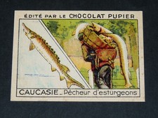 1936 CHROME CHOCOLATE PUPIER ASIA #211 CAUCASIA FISHERMEN STURGEONS KOURA TIFLIS