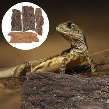  4 Pcs Gecko Grimpeur