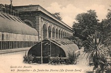 Old postcard 34 - MONTPELLIER (Hérault) - 413. Le Jardin des Plantes (la Grande Serre)