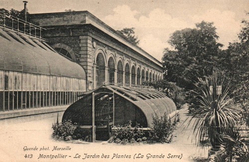 Old postcard montpellier - 34,
