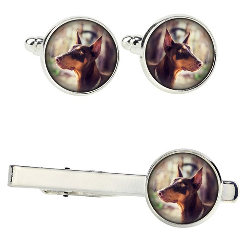 Dobermann set with - , clips