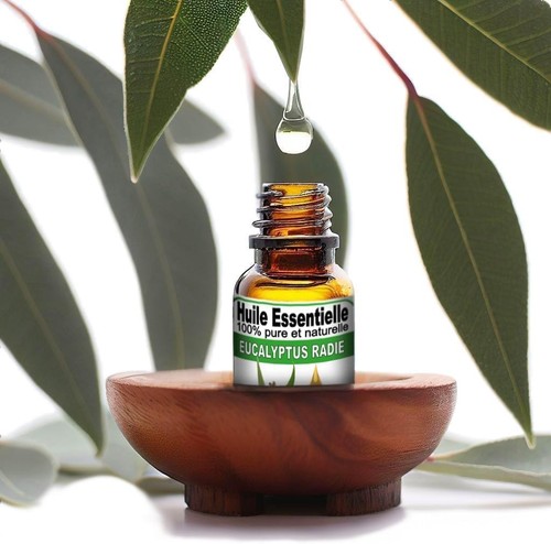 Huile essentielle eucalyptus - huile,