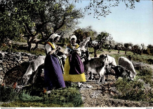 Carte postale folklore - ,