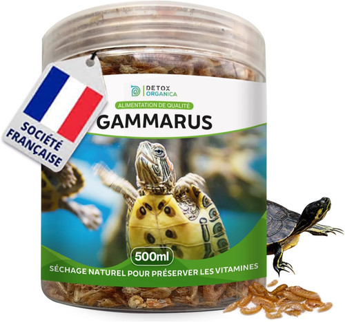 Nourriture tortue aquatique - tortue,