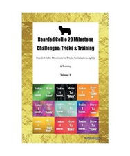 Bearded Collie 20 Milestone