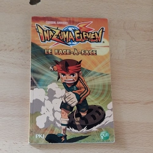 Pkj inazuma eleven roman - pkj, poche